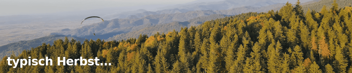 Typisch Herbst 2025